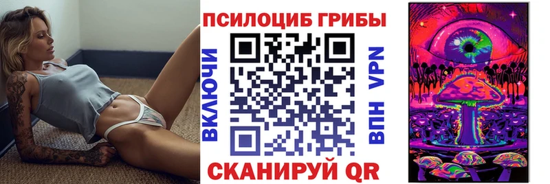 Купить закладки  Якутск  Галлюциногенные грибы Psilocybine cubensis 